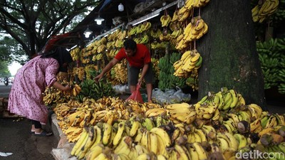 Lesunya Penjualan Pisang di Pasar Lembang Ciledug