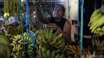 Lesunya Penjualan Pisang di Pasar Lembang Ciledug