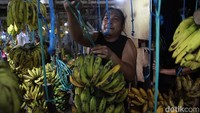 Pedagang merapikan dagangan pisang di Pasar Lembang Ciledug, Tangerang, Senin (2/3/2026).