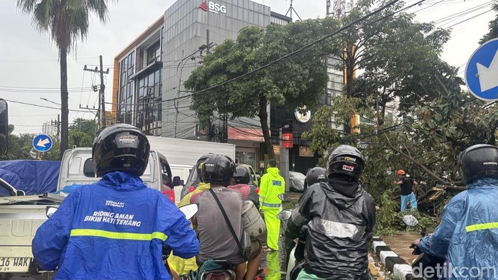 Macet di Surabaya akibat pohon tumban saat hujan angin