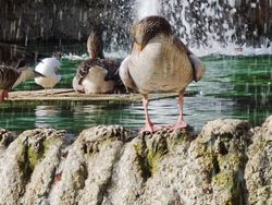 Barcelona yang Romantis dalam Bidikan Kamera Xiaomi 17 Ultra