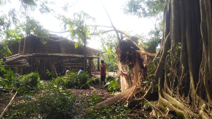 Warga bergotong royong membersihkan material pohon beringin yang tumbang, Senin (2/3/2026).
