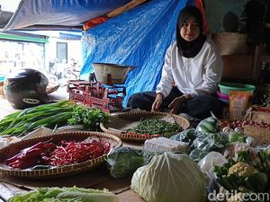 Harga Sayuran-Daging di Tasikmalaya Naik Ugal-ugalan