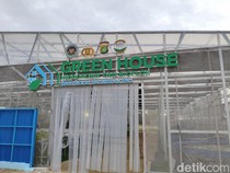 Video: Standar Ketat Pengelolaan MBG di SPPG Polri Palmerah Saat Ramadan