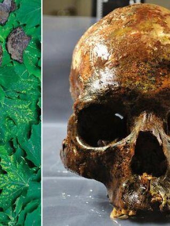 Deretan Temuan Arkeolog yang Mencengangkan dan Mengerikan