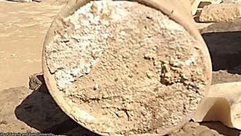 Para arkeolog di Saqqara, Mesir menemukan temuan kuno lainnya (dan sama-sama tidak dapat dimakan): keju padat tertua yang diketahui di dunia. Analisis protein menunjukkan bahwa zat putih bubuk berusia 3.300 tahun itu kemungkinan merupakan campuran susu sapi dan susu kambing atau domba, yang diolah menjadi keju, dan ditinggalkan di makam seorang pejabat yang melayani firaun. Para ilmuwan memperingatkan bahwa keju tersebut mungkin sebenarnya terkutuk dengan bakteri hidup yang dapat membuat siapa pun yang berani mencicipinya sakit. Foto: Boredpanda