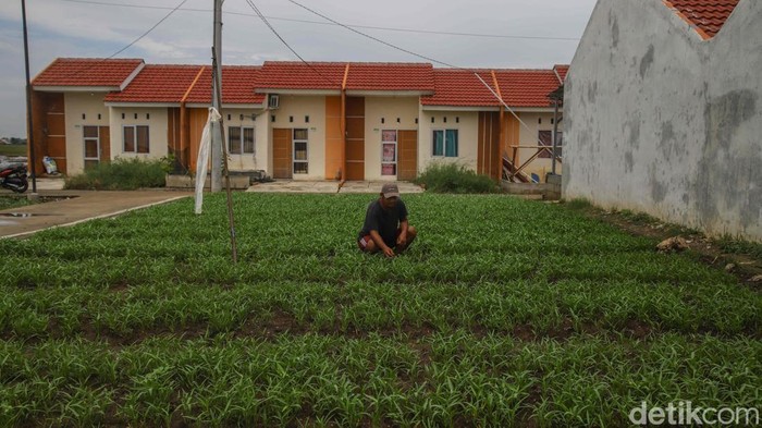 Aktivitas warga terlihat di perumahan subsidi Babelan, Kabupaten Bekasi. Program KPR subsidi memperluas akses rumah layak bagi masyarakat berpenghasilan rendah.