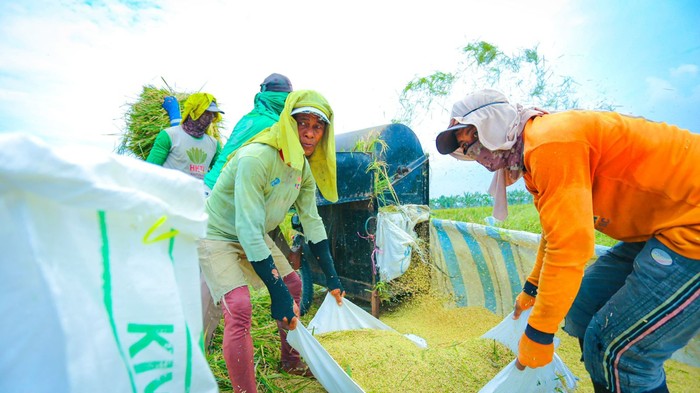 INDEF Sebut Produksi Domestik Masih Kuat, Sejumlah Komoditas Alami Surplus