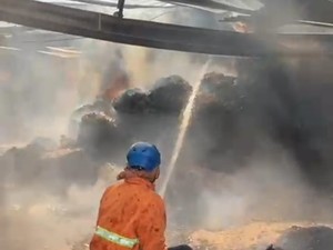 Gudang Tembakau di Blitar Terbakar Hebat, Asap Membubung Tinggi