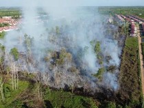 Lahan 7,2 Hektare di Kubu Raya Terbakar, Polisi Selidiki Dugaan Kesengajaan