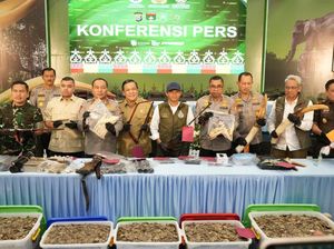 5 Fakta Perkara Gajah Tanpa Kepala Akhirnya Diungkap Polda Riau
