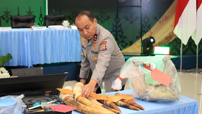 Konferensi Pers di Polda Riau terkait pengungkapan pembunuhan gajah di Kecamatan Ukui, Kabupaten Pelalawan, Selasa (3/2/2026).