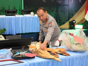 Pertama dalam Sejarah, Polda Riau Ungkap Perburuan Gajah dari Hulu ke Hilir