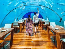 Makan Sambil Lihat Hiu dan Lava, Ini 5 Restoran Paling Unik di Dunia