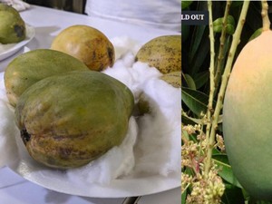 Super Langka! Mangga Khas Bengal Dijual Hampir Rp 400 Ribu per Buah