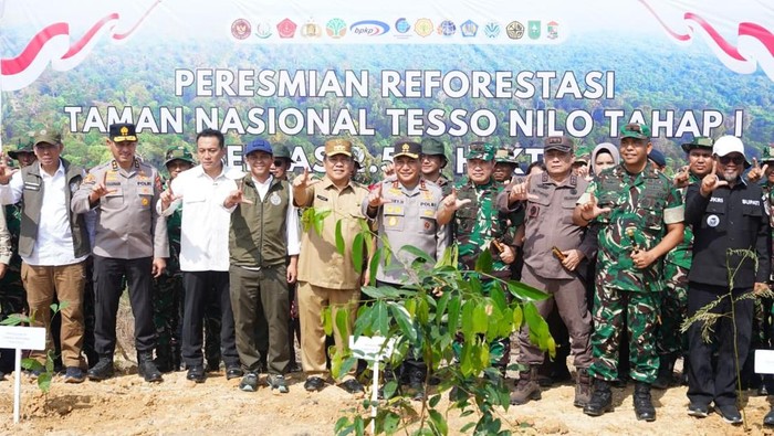 2 Ribu Pohon Ditanam, TNTN Kembali Hijau?