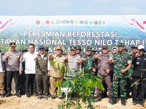Hijaukan Kembali TNTN, 2 Ribu Pohon Ditanam demi Pulihkan Jantung Riau
