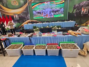 Gajah Sumatera Diburu di Riau, Gading Ilegalnya Terlacak di Solo
