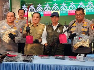 Legislator Apresiasi Polda Riau Bongkar Sindikat Perburuan Gajah Sumatera