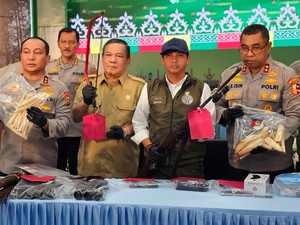 Legislator Apresiasi Polda Riau Bongkar Sindikat Perburuan Gajah Sumatera