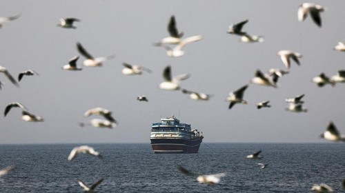 Birds fly near a boat in the Strait of Hormuz amid the U.S.-Israeli conflict with Iran, as seen from Musandam, Oman, March 2, 2026.REUTERS/Amr Alfiky