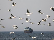 Selat Hormuz Ditutup, Apa Dampaknya bagi Indonesia?