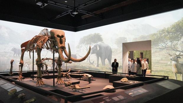 Prabowo kunjungi Museum Nasional (dok. Istimewa)