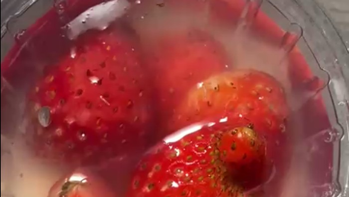 Puding MBG di SD Malang Ditemukan Belatung, Wali Murid Geram