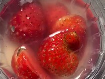 Heboh Belatung di Puding Stroberi MBG Kota Malang, SPPG Terancam Sanksi