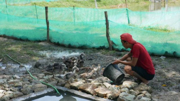 Sejumlah mantan napi kembali ke Nusakambangan untuk bekerja.