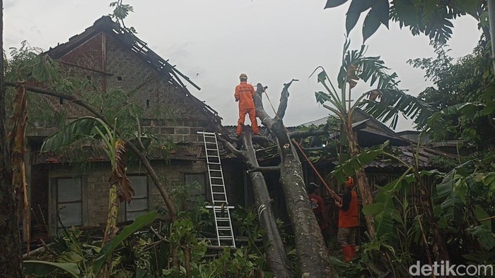 Tim BPBD Tulungagung mengevakuasi pohon tumbang yang menimpa rumah warga.