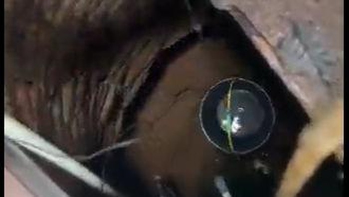 Desa Kadujajar Kekurangan Air Bersih untuk Mandi-Minum, Warga Rela Jalan Jauh demi Kebutuhan Harian