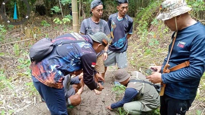 BKSDA -TNKS melakukan peninjauan TKP warga Musi Rawas tewas diterkam harimau