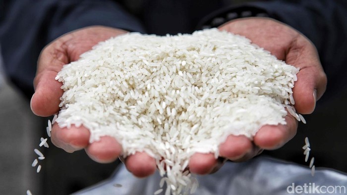 Menteri Pertanian Amran Sulaiman, Wakil Menteri Perdagangan Dyah Roro Esti  Widya Putri dan Dirut Bulog Ahmad Rizal melakukan pelepasan ekspor Beras Befood Nusantara untul jamaah haji di kawasan Gudang Bulog, Kelapa Gading Kanwil Jakarta Banten,  Kel