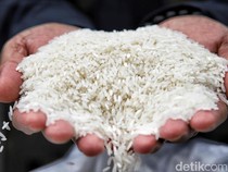 380 Ribu Ton Melayang, Produksi Beras RI Melemah, Panen Ikut Menyusut