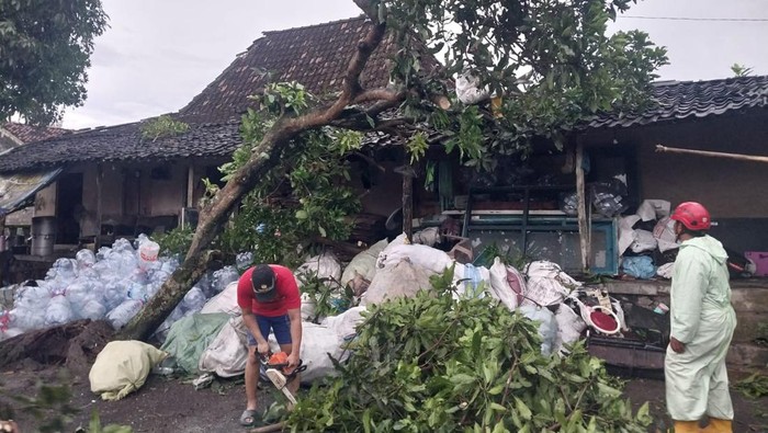 Puluhan pohon dilaporkan tumbang dan belasan rumah warga di Sleman rusak usai hujan lebat dan angin kencang melanda.