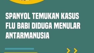 Video: Spanyol Temukan Kasus Flu Babi diduga Menular Antarmanusia