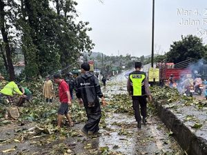 3 Orang di Batang Tewas Tertimpa Pohon-Tiang Listrik Saat Angin Kencang