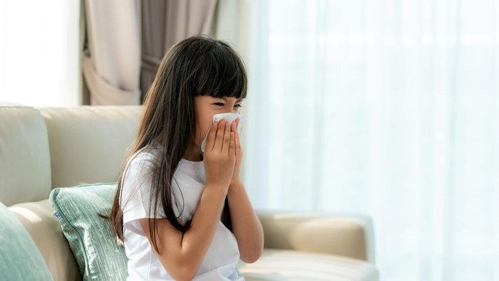 Asian child or kid girl sick and sad with sneezing on nose and cold cough on tissue paper because influenza and weak or virus bacteria from dust weather or smoke and kindergarten school for medical.