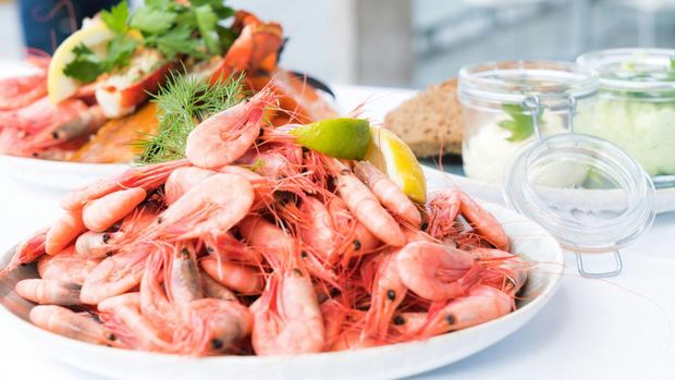 Ilustrasi sajian udang. Boiled Shrimps.
