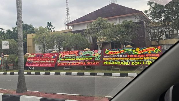 Karangan bunga membanjiri Polda Riau sebagai dukungan atas tindak tegas terhadap sindikat pemburu gajah Sumatera. Karanga bunga tersebut berjejer di halaman Polda Riau, Rabu (4/3/2026).