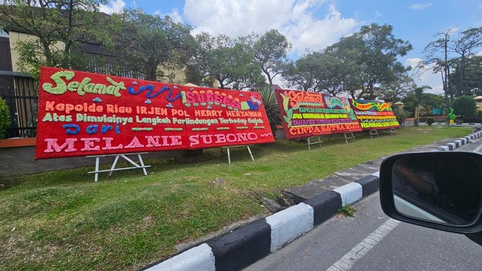 Karangan bunga membanjiri Polda Riau sebagai dukungan atas tindak tegas terhadap sindikat pemburu gajah Sumatera. Karanga bunga tersebut berjejer di halaman Polda Riau, Rabu (4/3/2026).