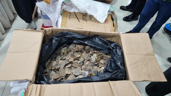 Pelaku Penyelundupan Samarkan 3 Ton Sisik Trenggiling dengan Mi dan Teripang