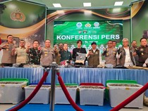 Terungkap Jejak Gading Gajah Tesso Nilo hingga Dikirim ke Solo