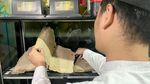 Melihat Manuskrip Al-Quran Kuno Koleksi Pesantren Tertua di Mojokerto