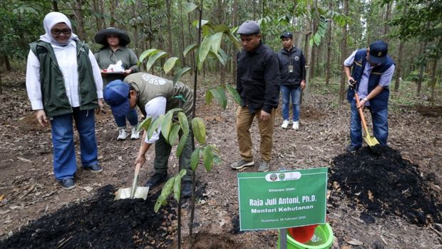 Menteri Kehutanan Republik Indonesia, Raja Juli Antoni, melakukan kunjungan kerja ke IKN pada Sabtu (28/02/2026) dengan agenda penanaman pohon di kawasan Rehabilitasi Hutan dan Lahan (RHL) dan Plaza Bhineka Tunggal Ika, sekaligus menyerahkan Surat Keputusan (SK) Perhutanan Sosial kepada empat Kelompok Tani Hutan di Kalimantan Timur. (Humas Otorita IKN)