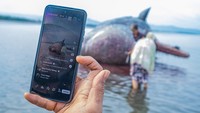 Ada pula warga yang menggendong anaknya sambil menyaksikan dari jarak dekat. Sebagian lainnya mendokumentasikan peristiwa itu menggunakan telepon genggam dan melakukan siaran langsung. ANTARA FOTO/Andry Denisah