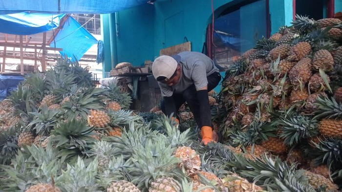 Pedagang nanas di Lampung