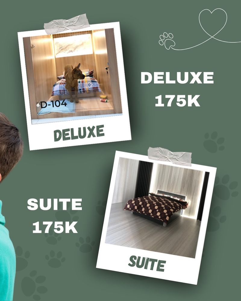 Pet hotel di Surabaya Pet hotel di Surabaya