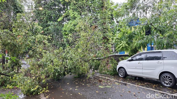 Pohon tumbang akibat hujan disertai angin kencang di Kota Bandung